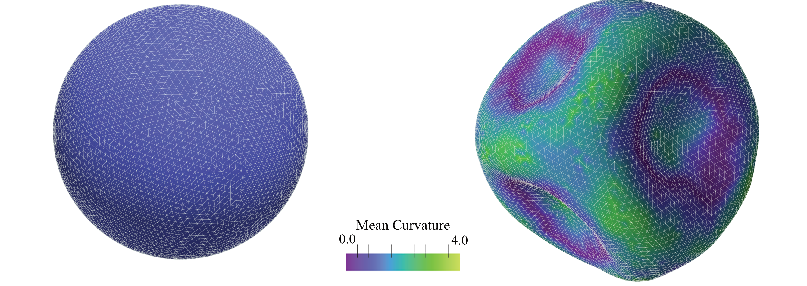 initial mesh